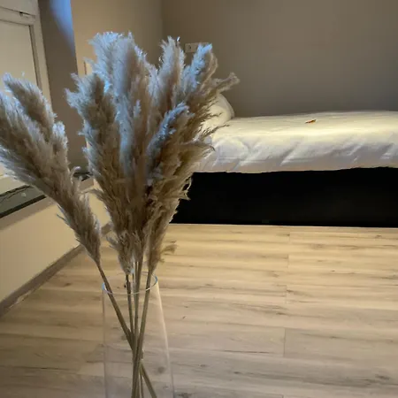 Modernes Am Dreilaendereck Daire *