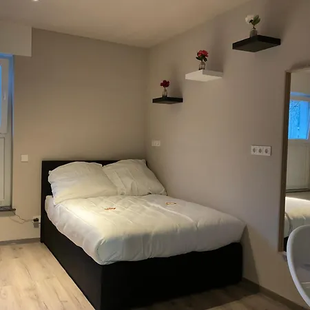 Modernes Am Dreilaendereck Daire