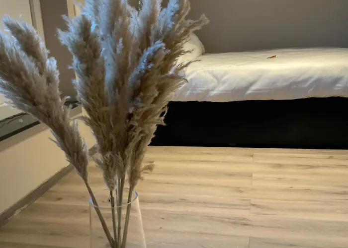 Modernes Am Dreilaendereck Appartement *