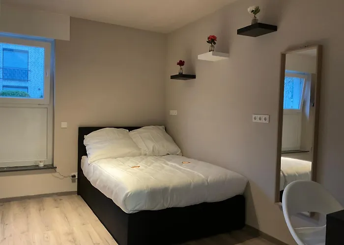 Modernes Am Dreilaendereck Appartement